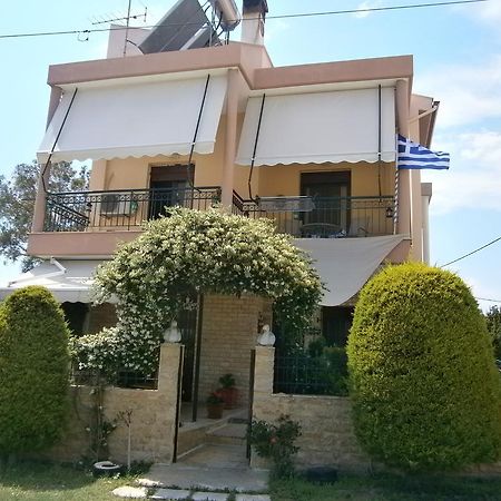 ניקיטי Sofia'S Villa מראה חיצוני תמונה