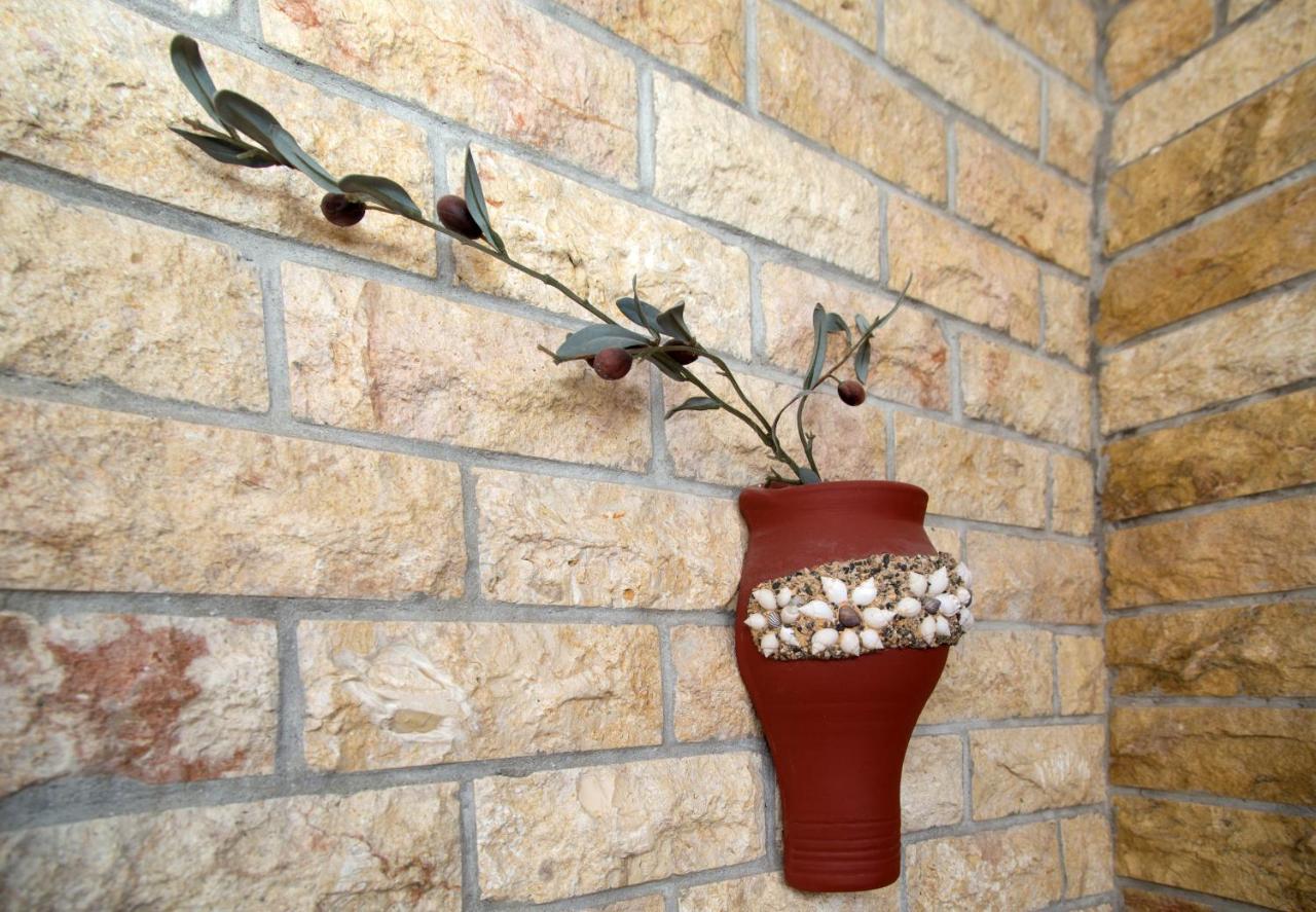 ניקיטי Sofia'S Villa מראה חיצוני תמונה