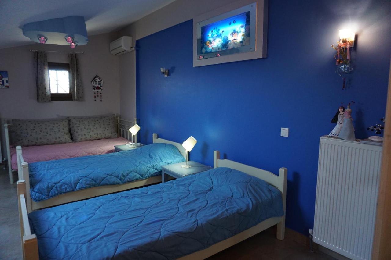ניקיטי Sofia'S Villa מראה חיצוני תמונה