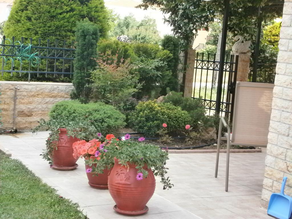 ניקיטי Sofia'S Villa מראה חיצוני תמונה